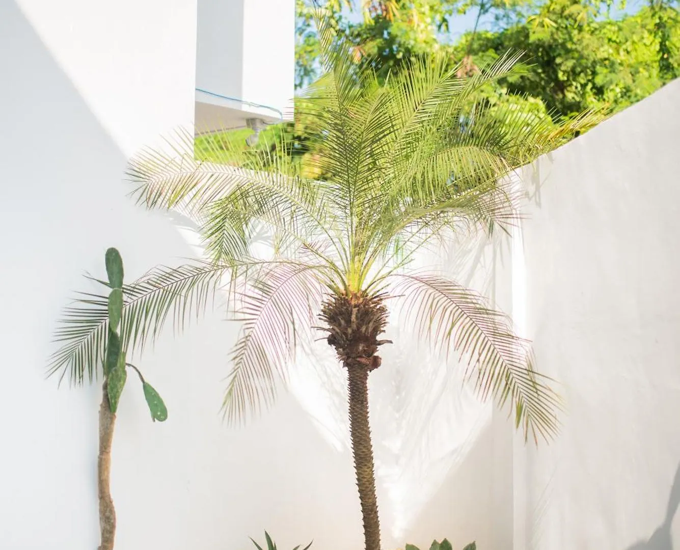 Baliterraneo Boutique Resort سمينياك فندق